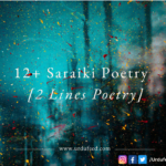 saraiki poetry 2 lines