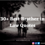 best brother in law quotes
