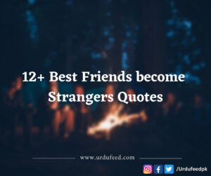 Best Friends become Strangers Quotes