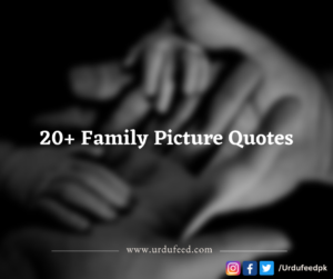 family picture quotes