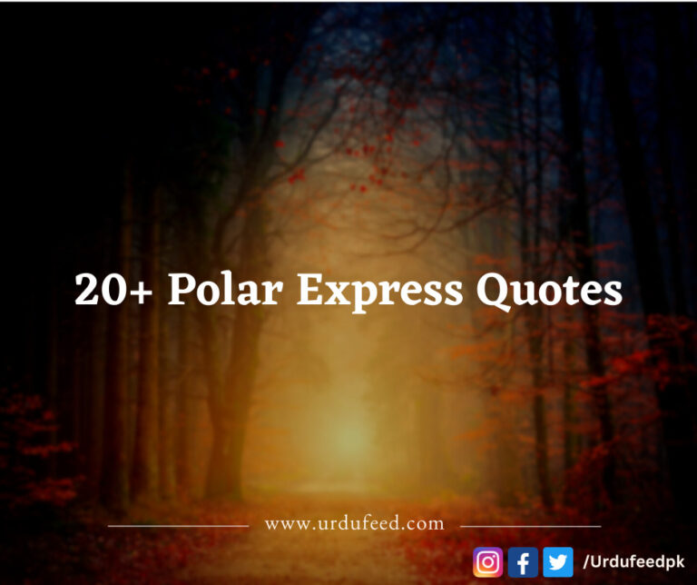 polar express quotes