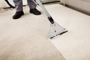 Carpet Cleaning for business