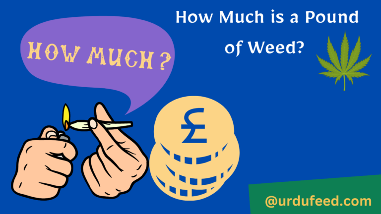 How Much is a Pound of Weed
