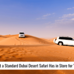 What a Standard Dubai Desert Safari Has in Store for You