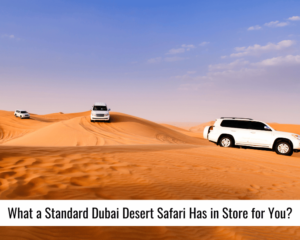 What a Standard Dubai Desert Safari Has in Store for You