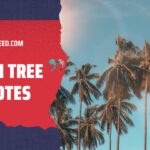 Palm Tree Quotes